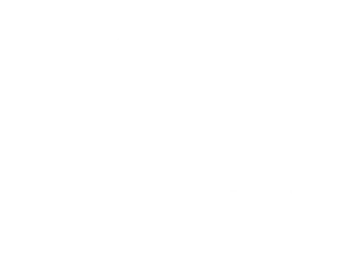 Knights butchers logo